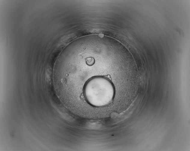 X0000111890175200907231604