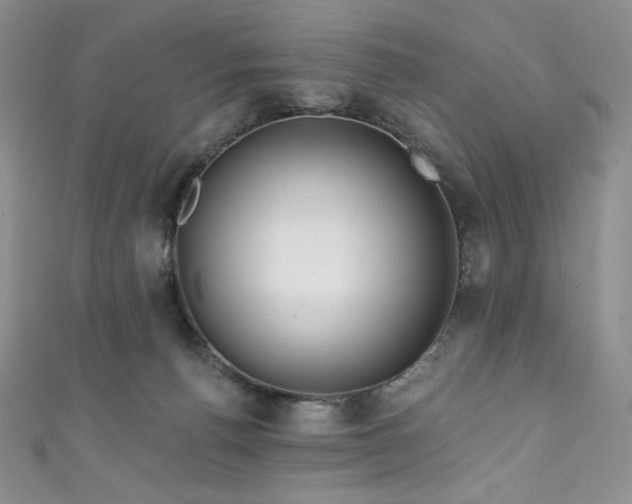 X0000111890176200907231604