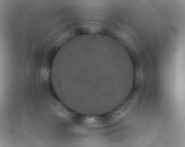 X0000111890177200907231604