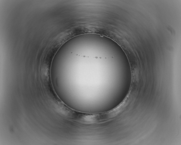 X0000111890178200907231604