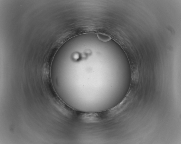 X0000111890179200907231604