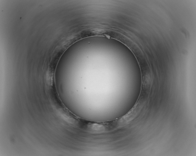 X0000111890180200907231604