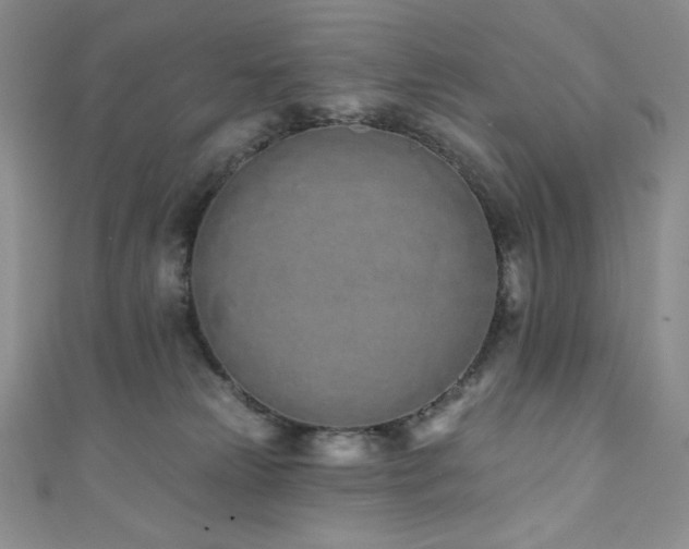 X0000111890181200907231604