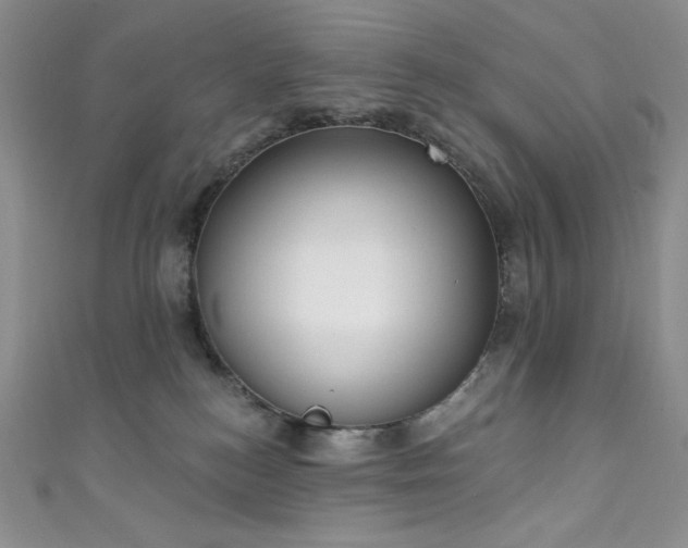 X0000111890184200907231604