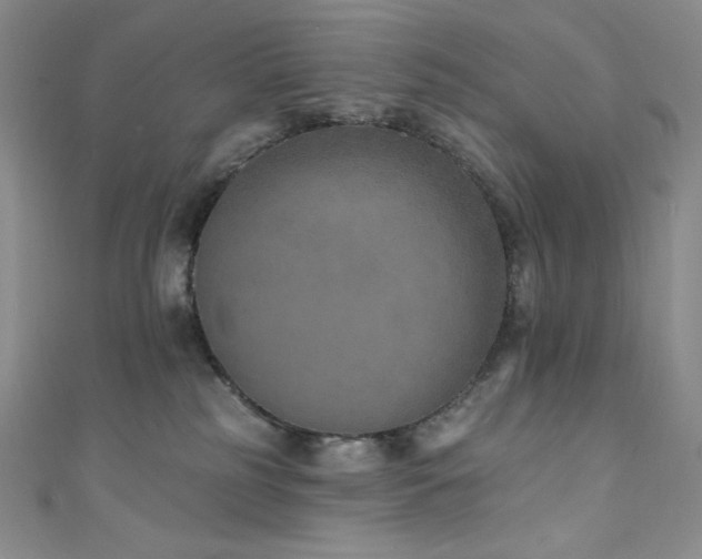 X0000111890185200907231604