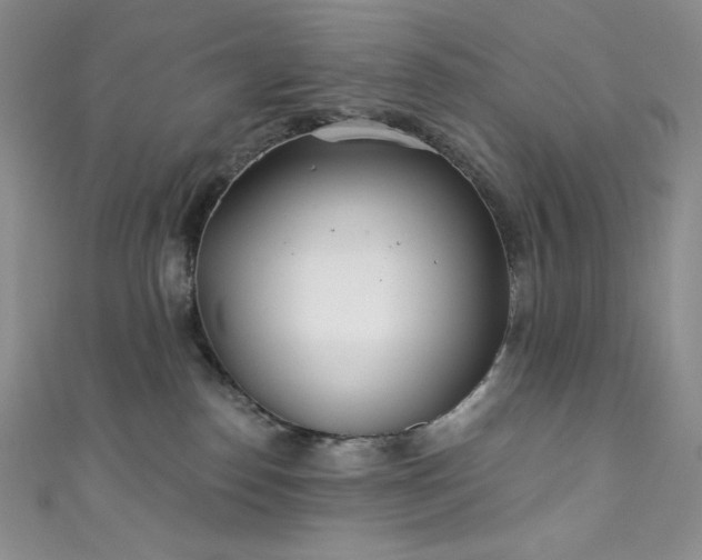 X0000111890186200907231604