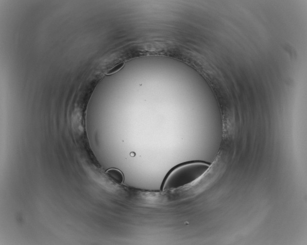 X0000111890187200907231604