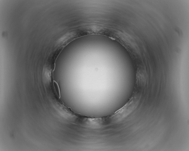 X0000111890188200907231604