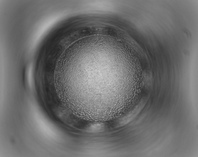 X0000111890189200907231604