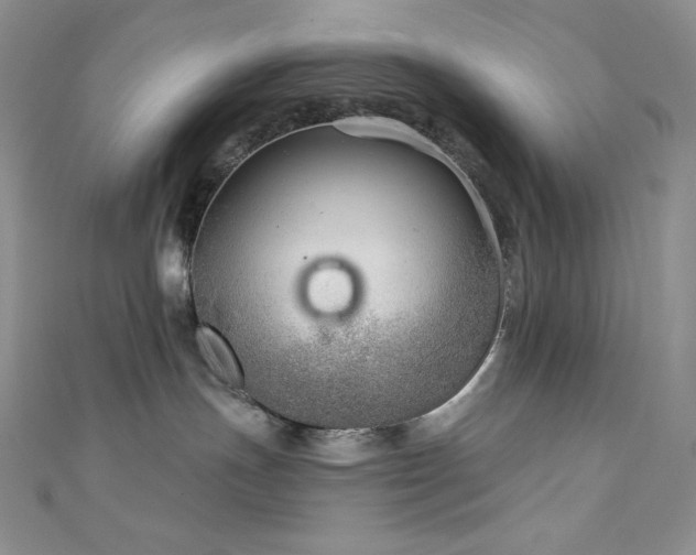 X0000111890191200907231604