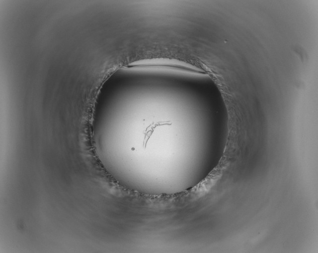 X0000111890192200907231604