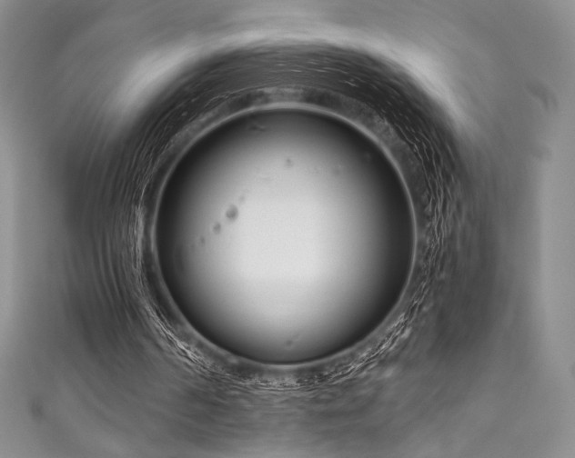 X0000111890194200907231603