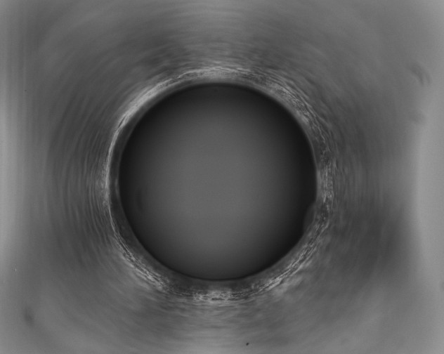 X0000111890196200907231603