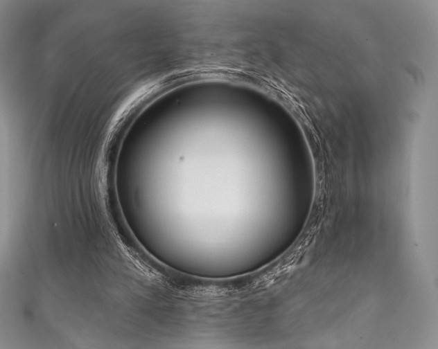 X0000111890197200907231603