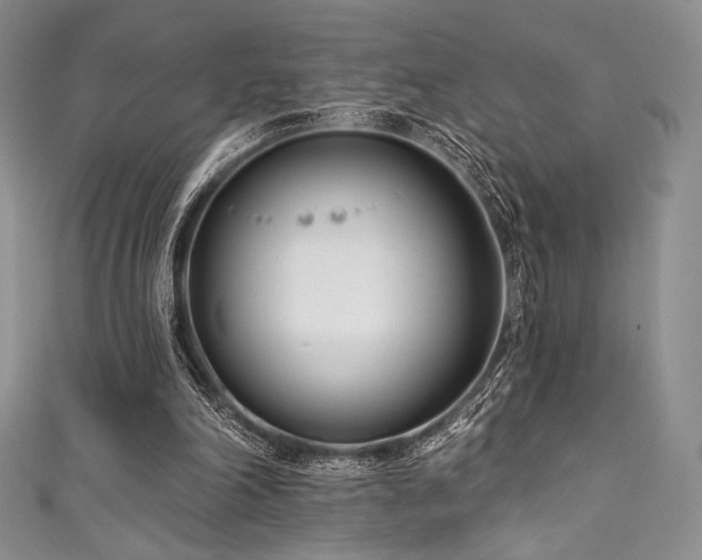 X0000111890198200907231603