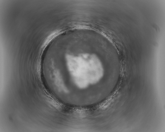 X0000111890199200907231603