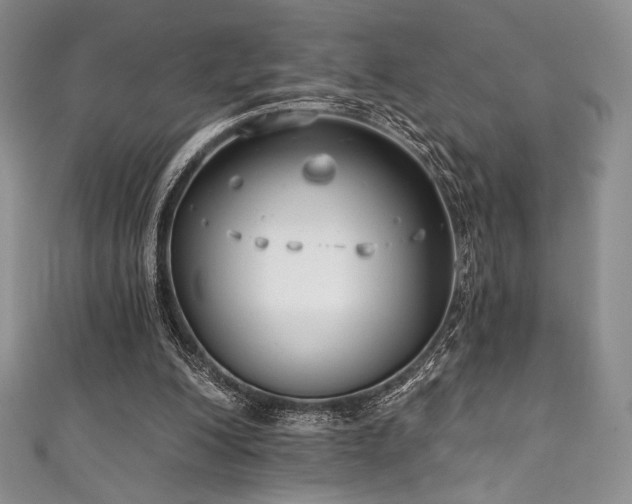 X0000111890200200907231603