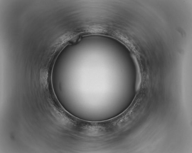 X0000111890201200907231603