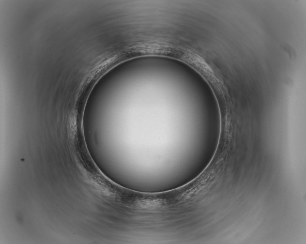 X0000111890202200907231603