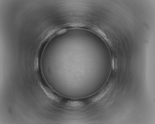 X0000111890205200907231603