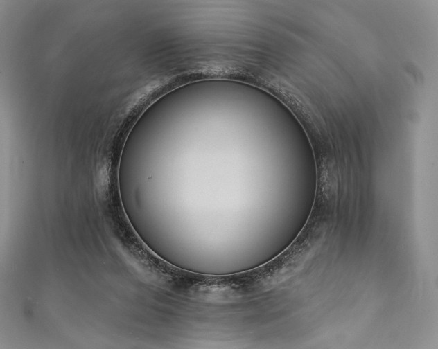 X0000111890208200907231603