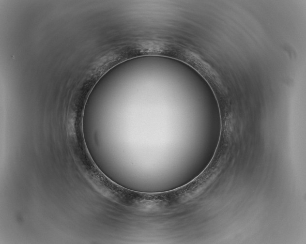 X0000111890209200907231603