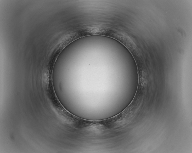 X0000111890210200907231603