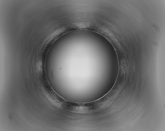 X0000111890212200907231603