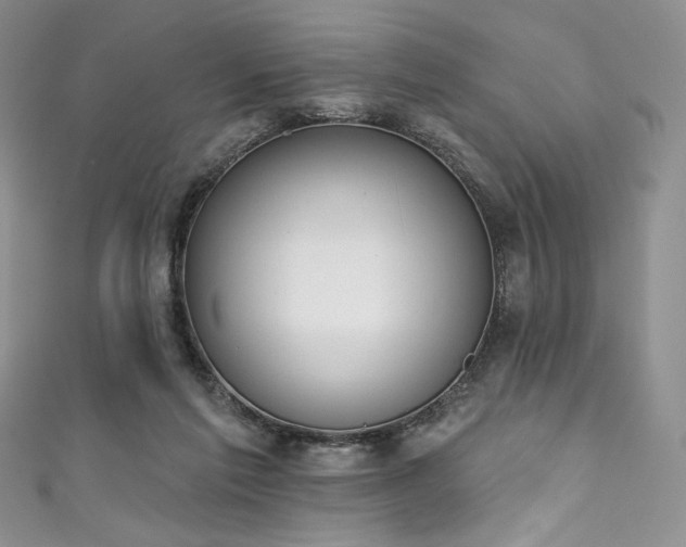 X0000111890213200907231603