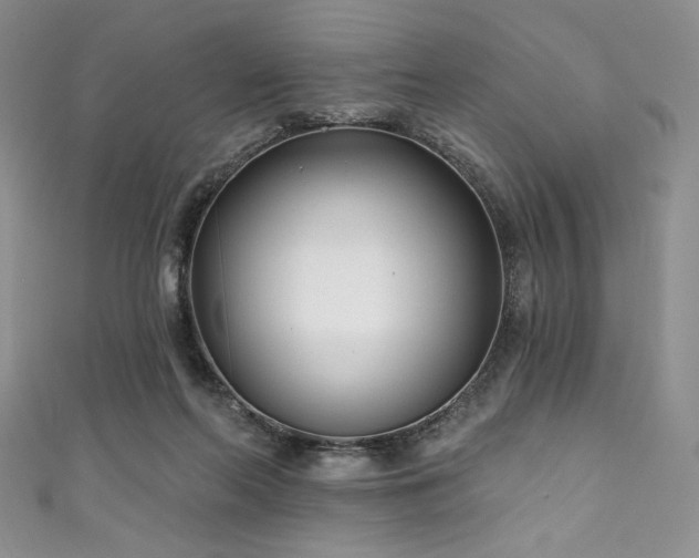 X0000111890214200907231603