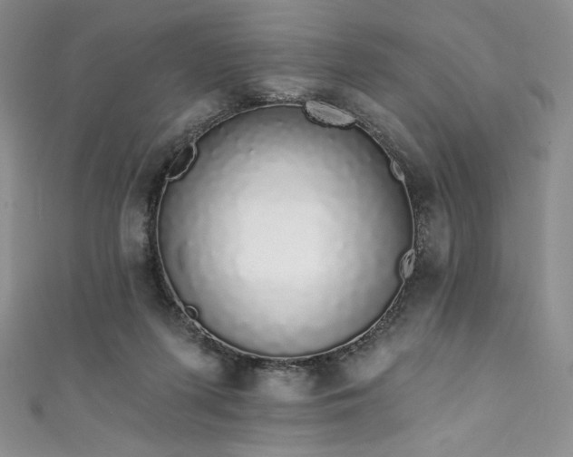 X0000111890215200907231603