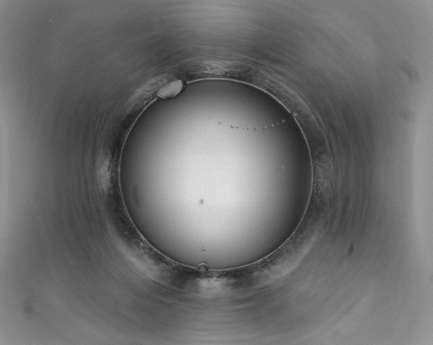 X0000111890216200907231603