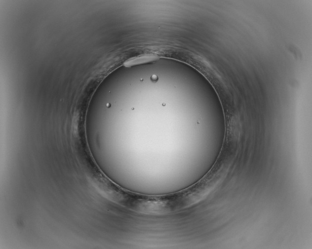 X0000111890217200907231603