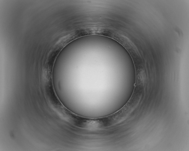 X0000111890218200907231603