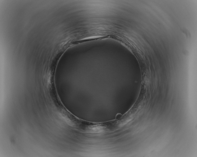 X0000111890219200907231603