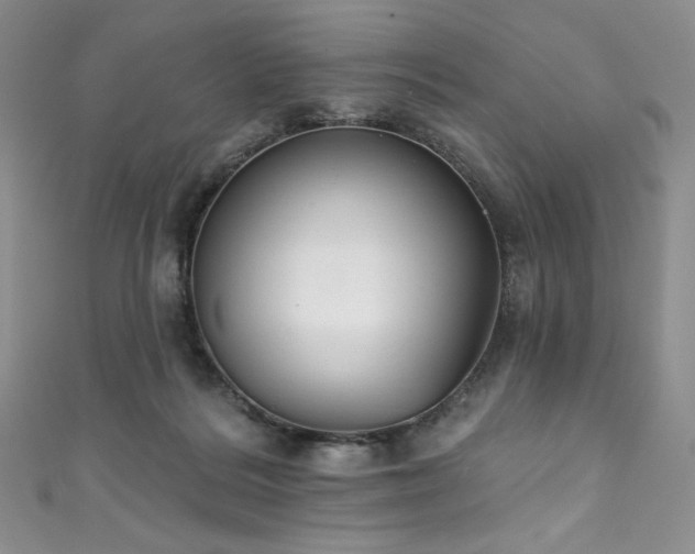 X0000111890220200907231603