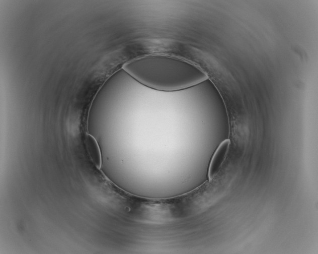 X0000111890221200907231603