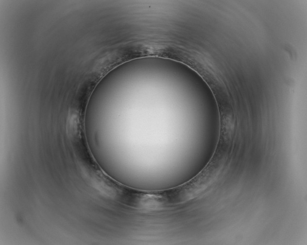 X0000111890222200907231603