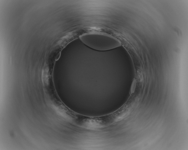 X0000111890223200907231603