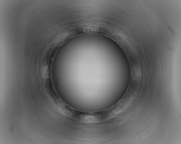 X0000111890224200907231603