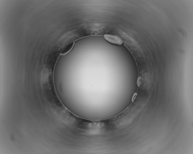 X0000111890225200907231603