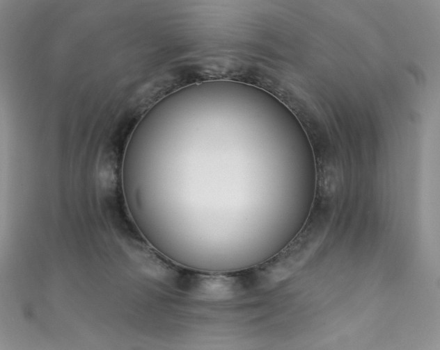 X0000111890226200907231603