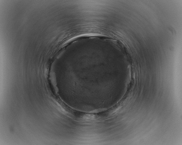 X0000111890227200907231603