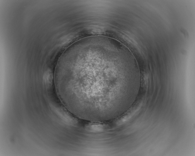 X0000111890228200907231603