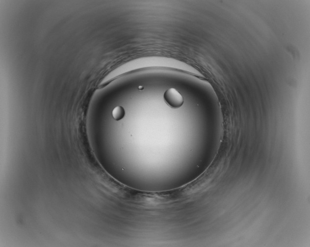 X0000111890229200907231603