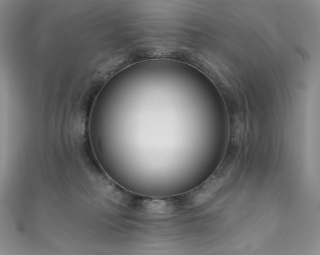 X0000111890230200907231603