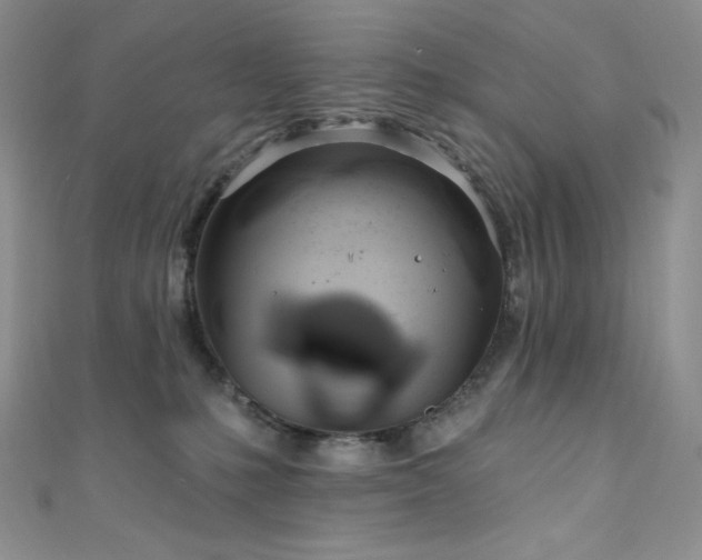 X0000111890231200907231603