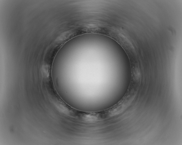 X0000111890232200907231603