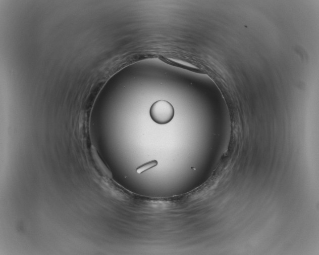 X0000111890233200907231603