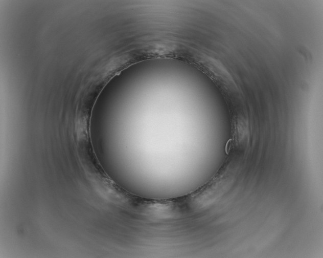 X0000111890236200907231603